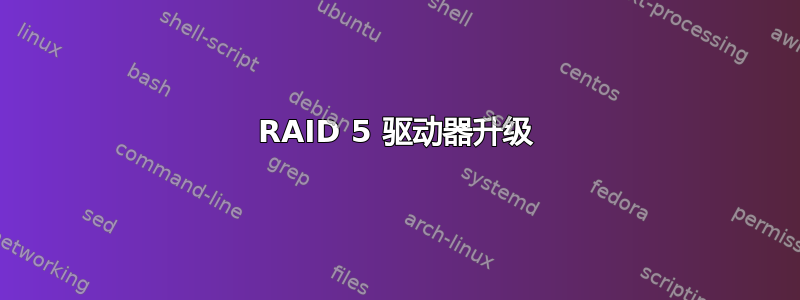 RAID 5 驱动器升级