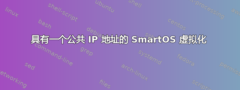 具有一个公共 IP 地址的 SmartOS 虚拟化