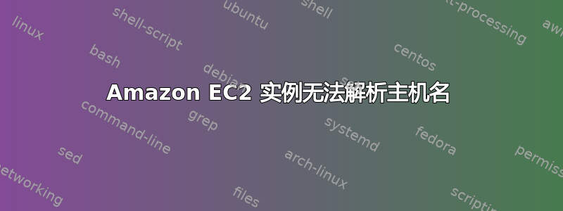 Amazon EC2 实例无法解析主机名