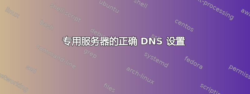 专用服务器的正确 DNS 设置