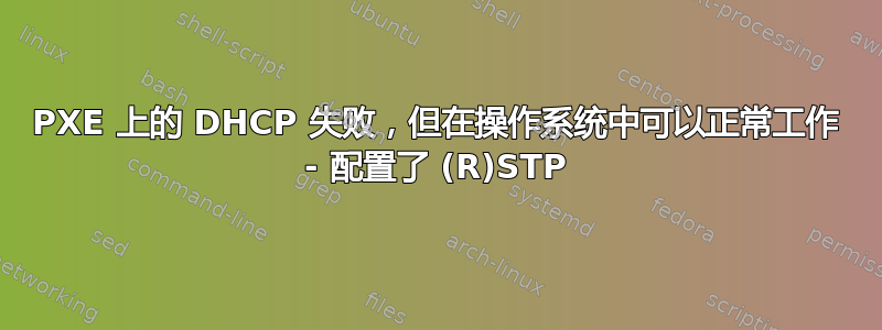 PXE 上的 DHCP 失败，但在操作系统中可以正常工作 - 配置了 (R)STP