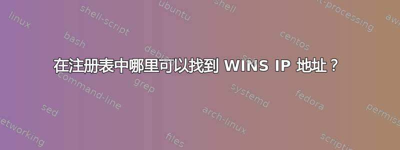 在注册表中哪里可以找到 WINS IP 地址？