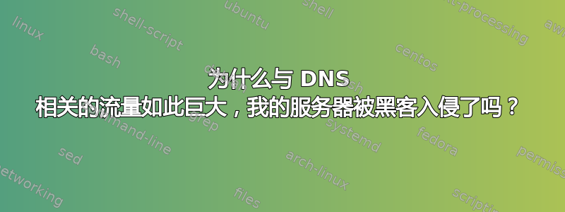 为什么与 DNS 相关的流量如此巨大，我的服务器被黑客入侵了吗？