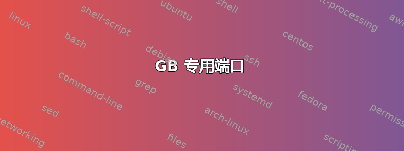 1GB 专用端口