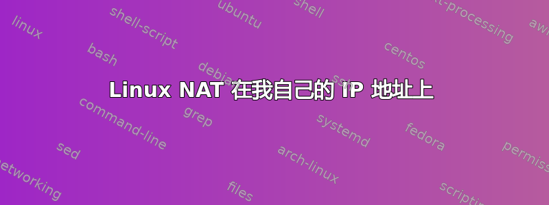 Linux NAT 在我自己的 IP 地址上