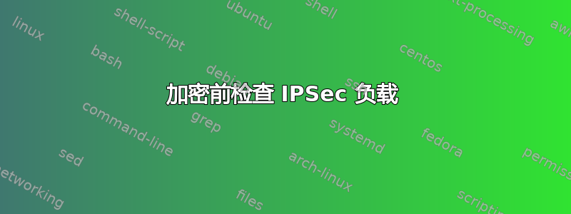 加密前检查 IPSec 负载