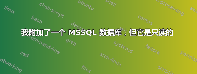 我附加了一个 MSSQL 数据库，但它是只读的