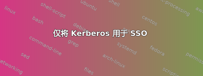 仅将 Kerberos 用于 SSO