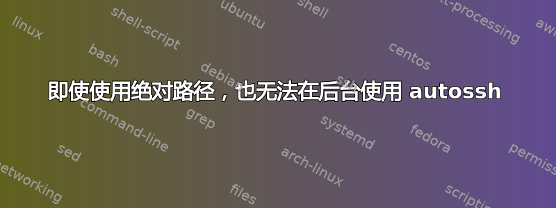 即使使用绝对路径，也无法在后台使用 autossh