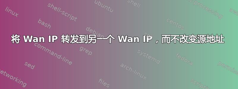 将 Wan IP 转发到另一个 Wan IP，而不改变源地址