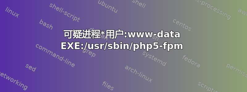 可疑进程*用户:www-data EXE:/usr/sbin/php5-fpm