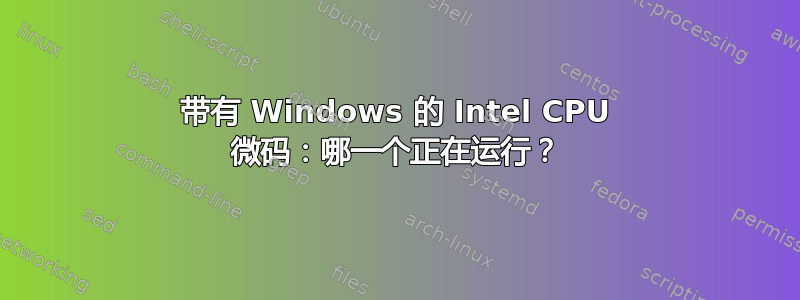 带有 Windows 的 Intel CPU 微码：哪一个正在运行？