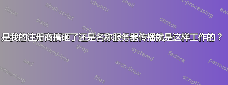 是我的注册商搞砸了还是名称服务器传播就是这样工作的？