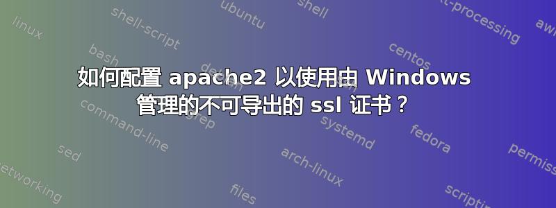 如何配置 apache2 以使用由 Windows 管理的不可导出的 ssl 证书？