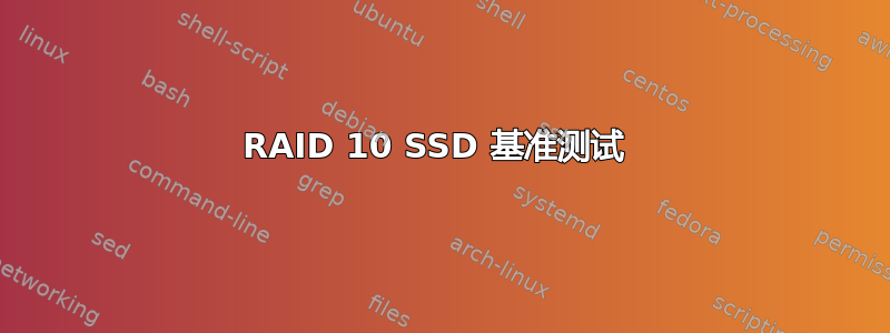 RAID 10 SSD 基准测试 