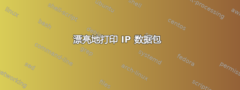 漂亮地打印 IP 数据包 