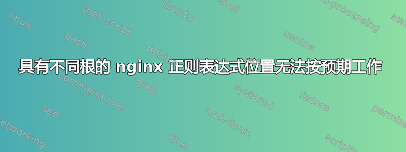 具有不同根的 nginx 正则表达式位置无法按预期工作