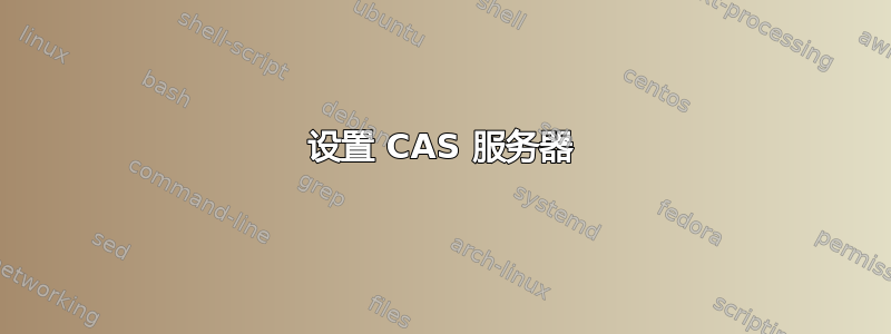 设置 CAS 服务器