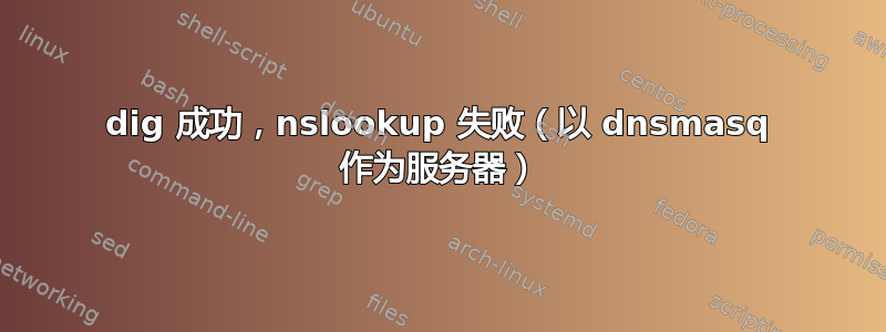 dig 成功，nslookup 失败（以 dnsmasq 作为服务器）