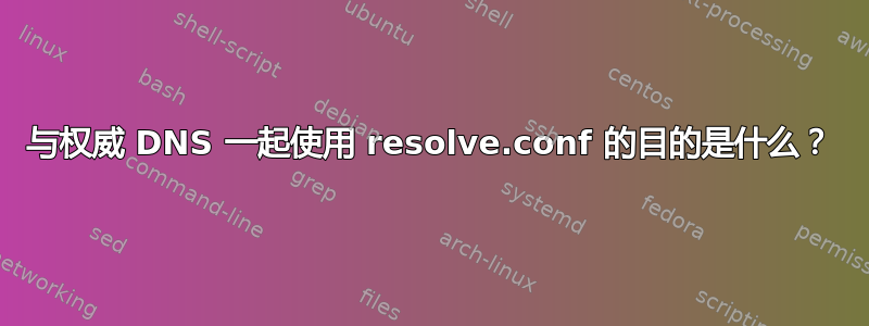 与权威 DNS 一起使用 resolve.conf 的目的是什么？