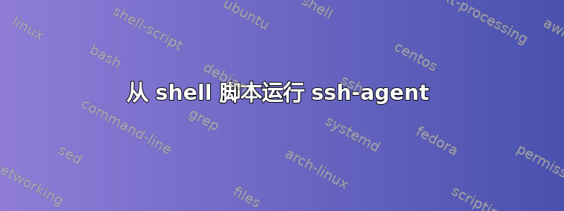 从 shell 脚本运行 ssh-agent