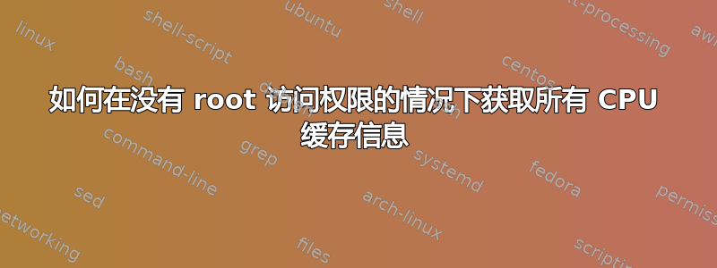 如何在没有 root 访问权限的情况下获取所有 CPU 缓存信息