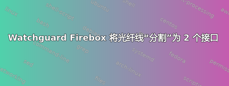 Watchguard Firebox 将光纤线“分割”为 2 个接口