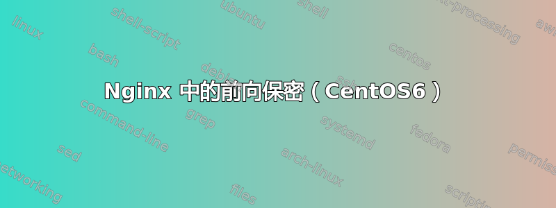 Nginx 中的前向保密（CentOS6）