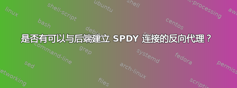 是否有可以与后端建立 SPDY 连接的反向代理？