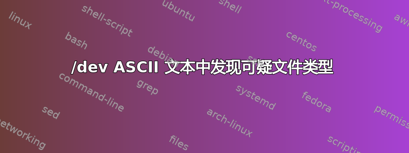 /dev ASCII 文本中发现可疑文件类型