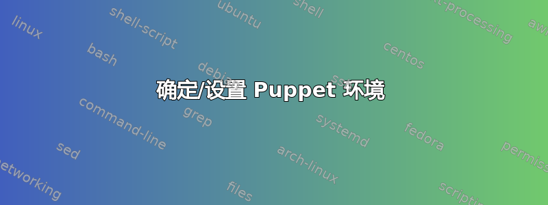 确定/设置 Puppet 环境