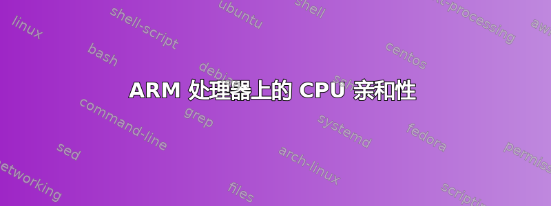 ARM 处理器上的 CPU 亲和性