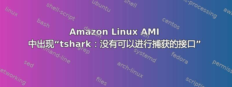 Amazon Linux AMI 中出现“tshark：没有可以进行捕获的接口”