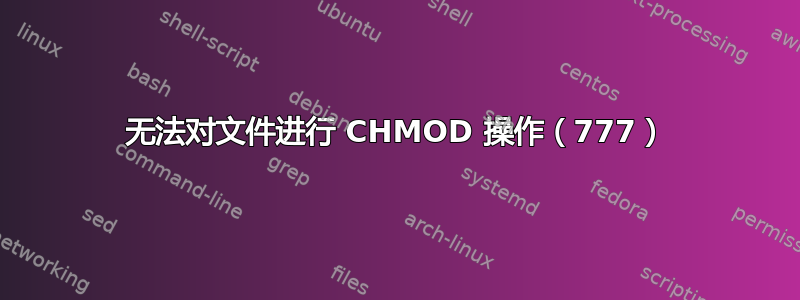 无法对文件进行 CHMOD 操作（777）