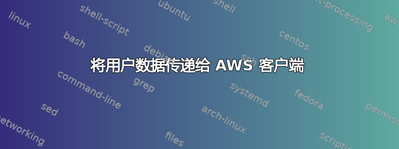 将用户数据传递给 AWS 客户端