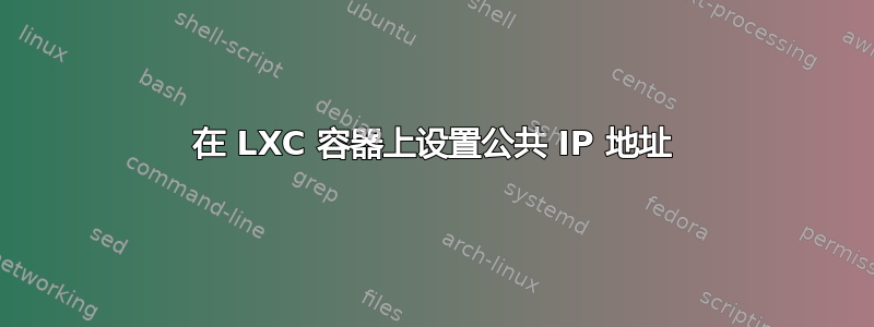 在 LXC 容器上设置公共 IP 地址