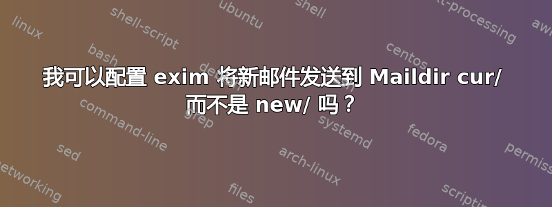 我可以配置 exim 将新邮件发送到 Maildir cur/ 而不是 new/ 吗？