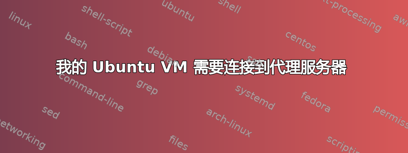 我的 Ubuntu VM 需要连接到代理服务器