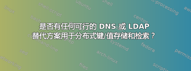 是否有任何可行的 DNS 或 LDAP 替代方案用于分布式键/值存储和检索？