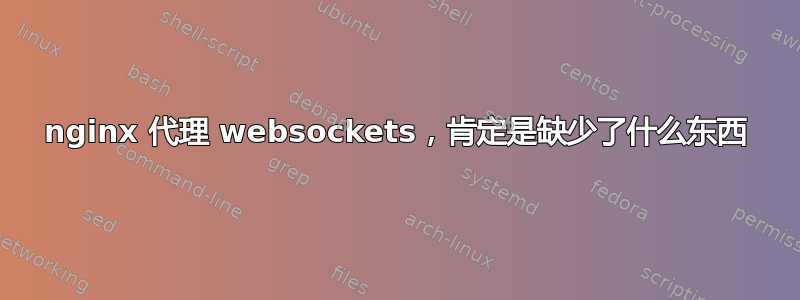 nginx 代理 websockets，肯定是缺少了什么东西