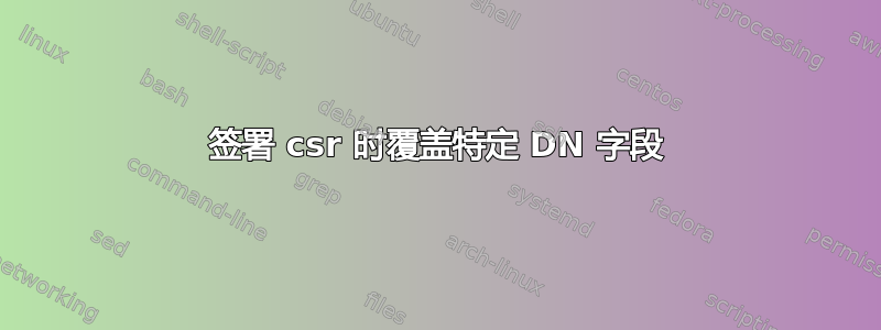 签署 csr 时覆盖特定 DN 字段