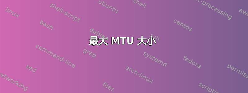 最大 MTU 大小