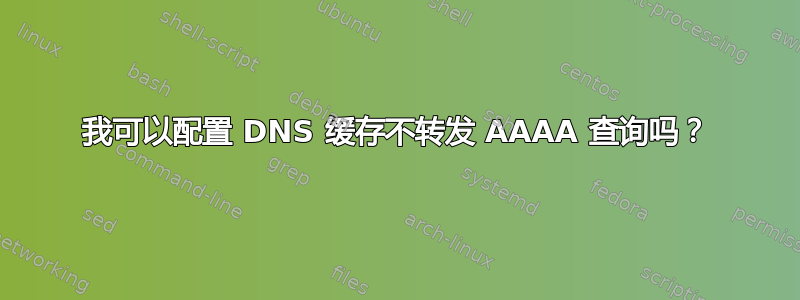 我可以配置 DNS 缓存不转发 AAAA 查询吗？