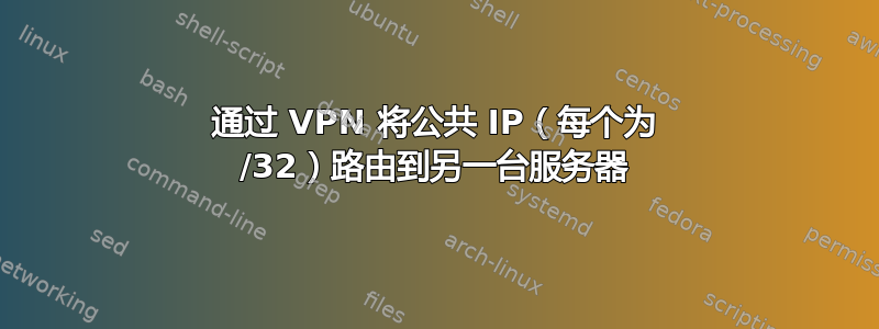 通过 VPN 将公共 IP（每个为 /32）路由到另一台服务器