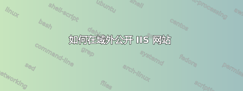 如何在域外公开 IIS 网站