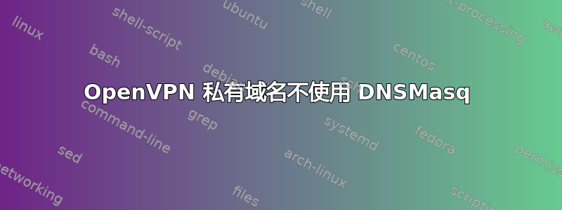 OpenVPN 私有域名不使用 DNSMasq