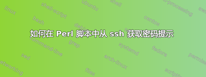 如何在 Perl 脚本中从 ssh 获取密码提示