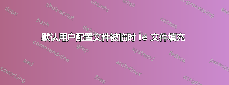 默认用户配置文件被临时 ie 文件填充