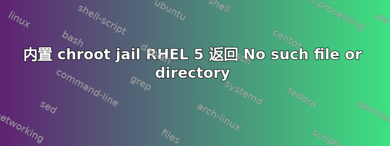 内置 chroot jail RHEL 5 返回 No such file or directory