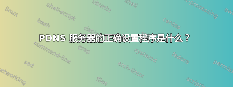 PDNS 服务器的正确设置程序是什么？